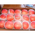 Wysoka jakość Dobry Smaczne Shandong Fuji Apple